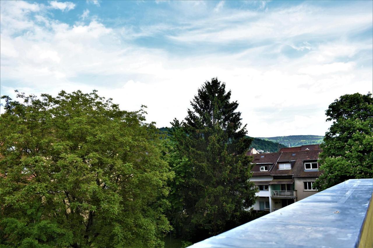 Heiligenbergblick Heidelberg